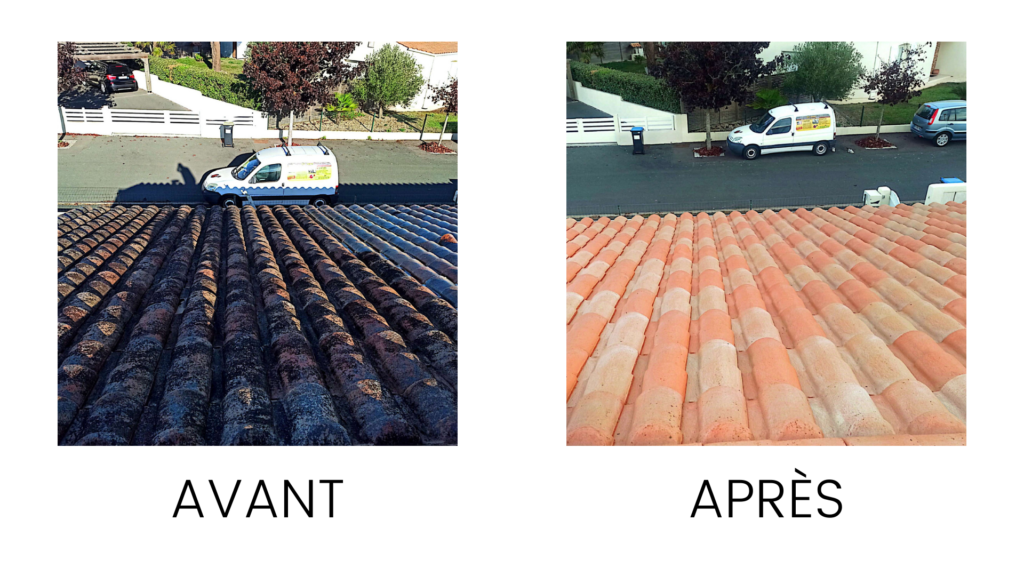 Toiture nettoyage